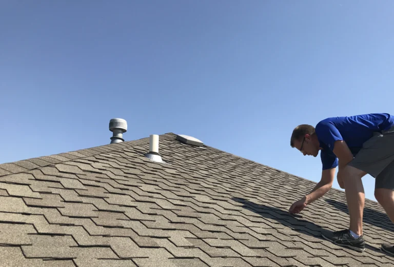 Inspection & Consultation