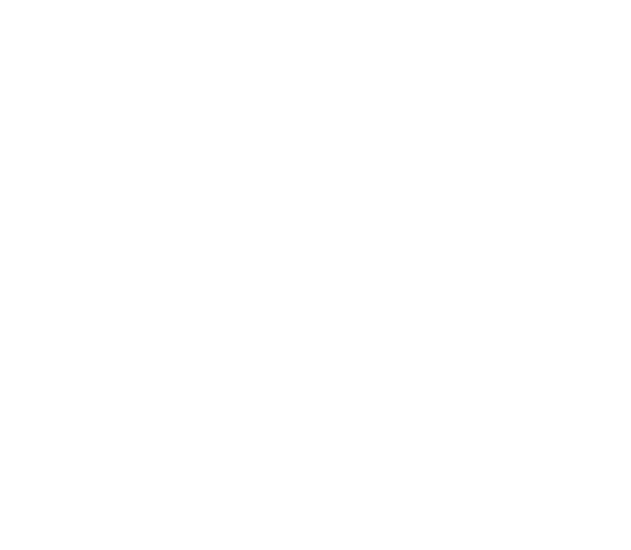 Insurance Claim Support.